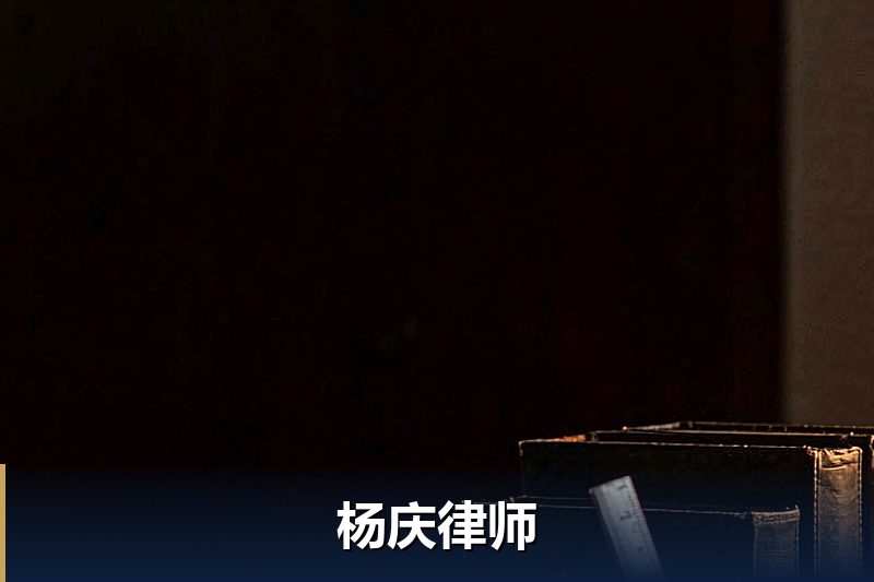 杨庆律师